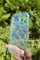Dış Çekim Arka Yüz iPhone 13 Mavi Fosforlu Şeffaf Silikon Kılıf